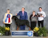 GCH Chancellors 